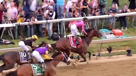 what is an omni bet in horse racing|Understanding Omni Swinger Bets: A Comprehensive Guide to .